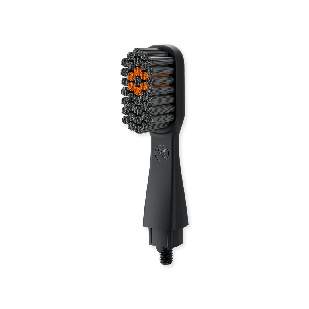ORBI Replacement Brush Head | Black
