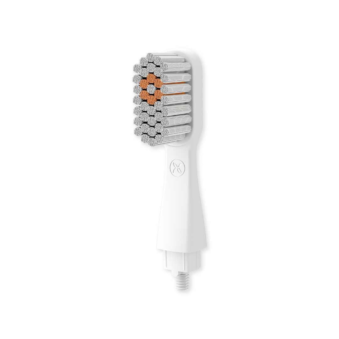 ORBI Replacement Brush Head | White